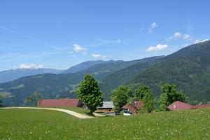 Ljubno_Kmetija Visočnik  (3)